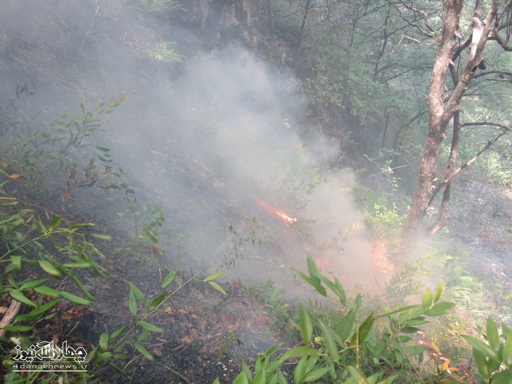 IMG_0515